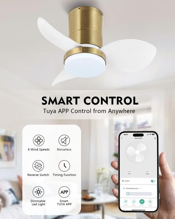 Smart Quiet Ceiling Fan with Lights, Remote & APP Control, Small Modern 22" Semi Flush Mount 6-Speed Dimmable Light Noiseless Reversible DC Motor Ceiling Fan for Kitchen Bedroom Dining Room
